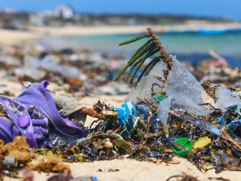 Plastikmüll am Strand