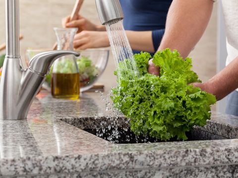 Salat wird gewaschen