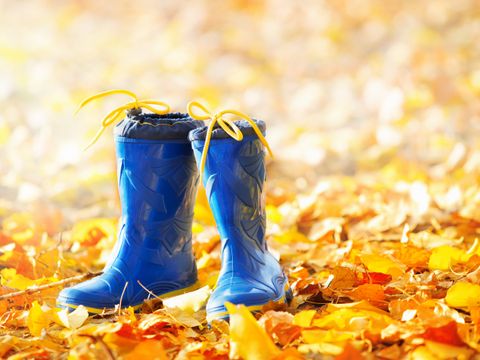 blaue Gummiestiefel im Herbstlaub