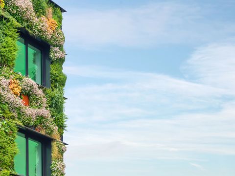 Exterior of a green sustainable building covered with blooming vertical hanging plants in front of a blue sky