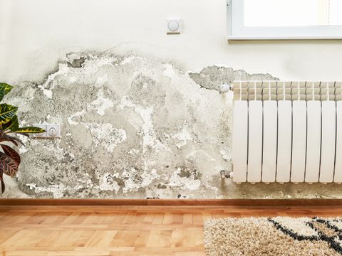 Schimmel und Feuchtigkeitsansammlungen an der Wand eines modernen Hauses