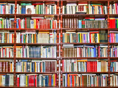 Großes Bücherregal, welches die ganze Wand bedeckt
