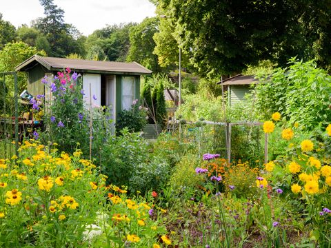 Schrebergarten (Bild: mbroms / Depositphotos.com)