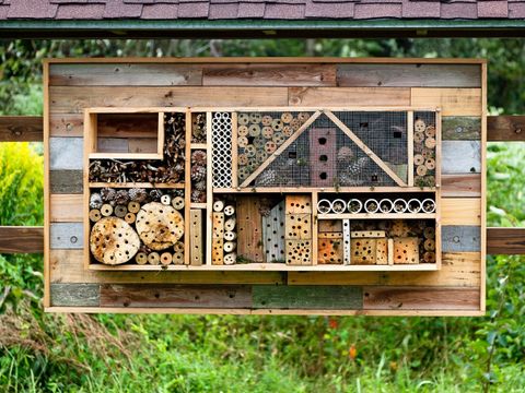 Insektenhotel auf dem Schulhof