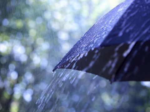 Regenschirm im Regen