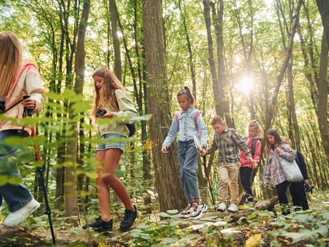 Gemeinsam gehen. Kinder im grünen Wald am Sommertag zusammen.