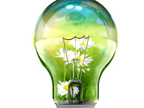 Glühbirne mit Blumen im Inneren
