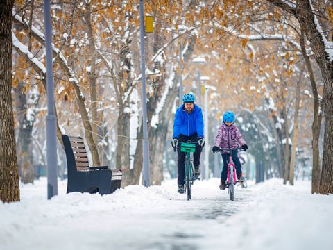 Vater und Kind fahren im Winter Fahrrad. Ein Mann und seine Tochter fahren mit dem Fahrrad auf einem Radweg in einem Winterpark.
