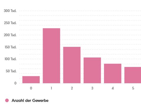 Screenshot des Gewerbedaten-Dashboards
