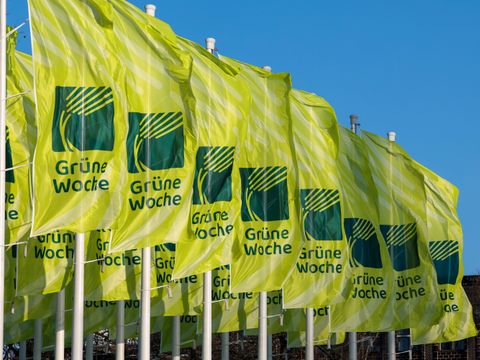 Fahnen Grüne Woche