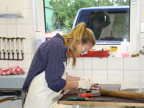 Laborarbeit im Fischereiamt