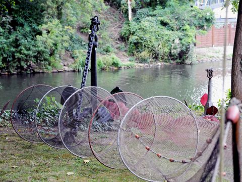 Reusen am Fischereiamt. Aufgehängte Reuse, im Hintergrund die Havel.