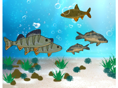 Fische