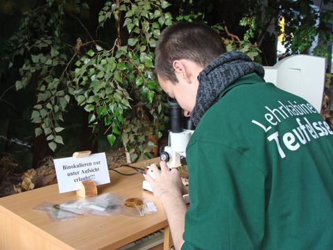 Untersuchungen mit dem Binokular (Bild: Berliner Forsten)