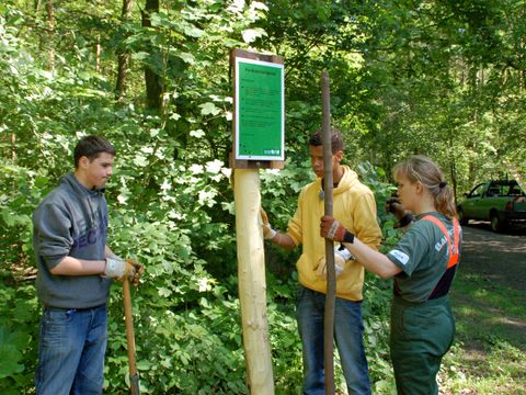 Auch körperlich schwere Arbeit erwartet die Freiwilligen im Waldamt (Bild: Berliner Forsten)