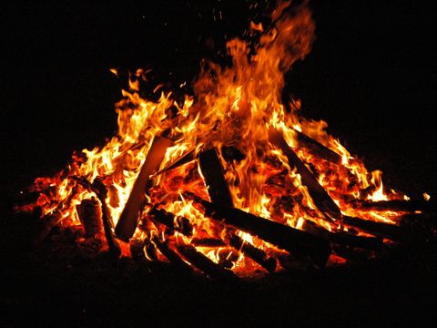 Feuer im Wald und in Waldnähe ist genehmigungspflichtig (Bild: Berliner Forsten)