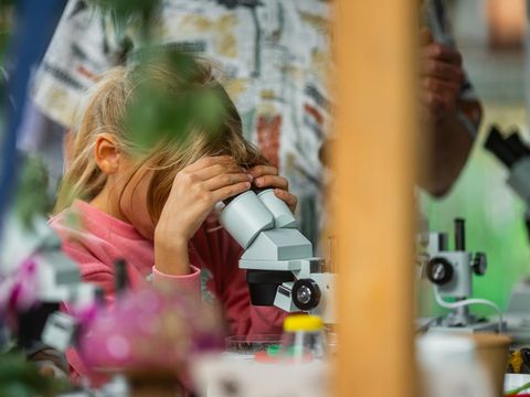 Herbstfest Revierförsterei Grünau (Bild: Rainer Keuenhof)