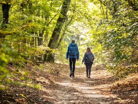 Wanderer im Grunewald