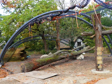 Sturmholz für den Berliner Zoo (Bild: Zoo Berlin)