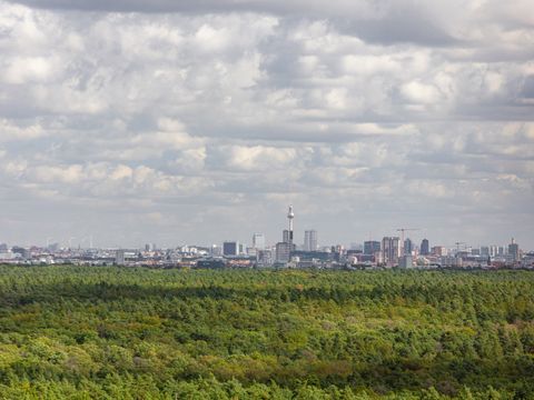Blick vom Grunewaldturm über den Grunewald zum Zentrum