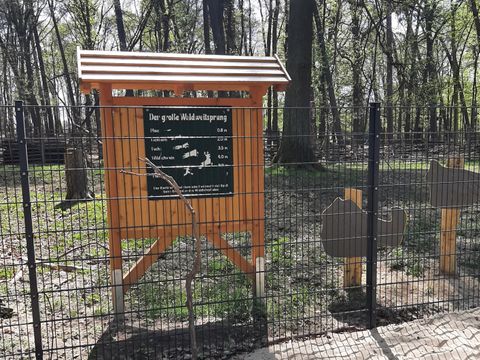Waldlehrpfad Hermsdorf: Wildgehege