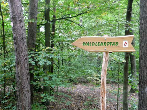 Wegweiser Waldlehrpfad