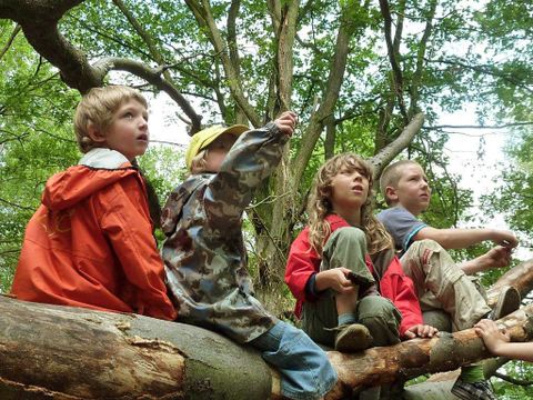 Kinder auf dem Baum (Bild: Berliner Forsten)