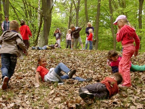 Kinder im Laub
