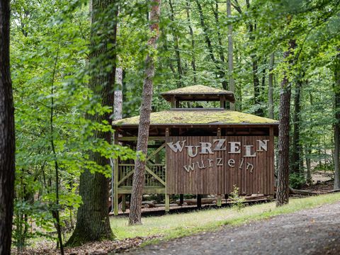 Wurzelschutzhütte (Bild: Rainer Keuenhof)