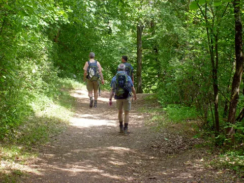 Wanderer im Wald