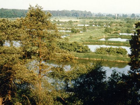 Intensivfilterbetrieb mit ständig und vollflächig überstauten Becken, 2005