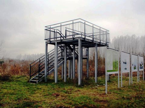 Informationstafeln vor der Beobachtungsplattform an Teich 13, 2015 (Bild: Berliner Forsten)