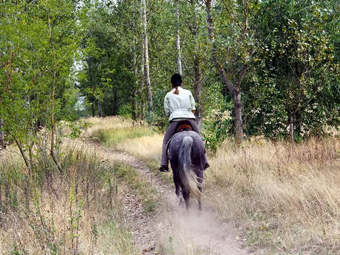 Der Hobrechtswald besitzt ein weites Reitwegenetz.
