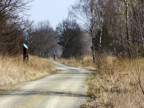 Die alten Rieselrohre mit leuchtend blauer Spitze weisen den Weg.