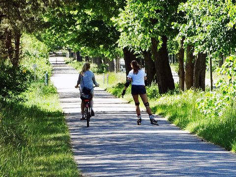 Freie Fahrt für Radfahrer und Skater (Bild: Berliner Forsten)