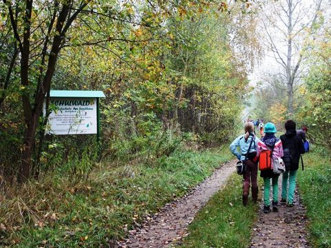 Willkommen im Schulwald, 2014 (Bild: Berliner Forsten)