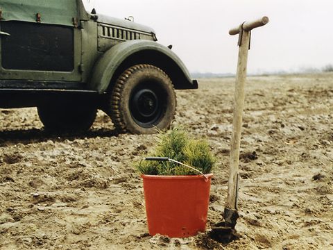 Die Idee: Umwandlung der Landschaft in einen Erholungswald