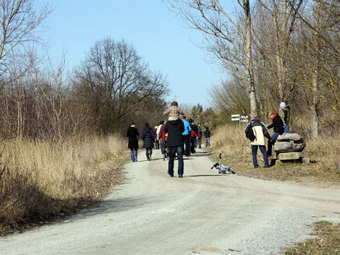 Auf den zahlreichen Wanderwegen lässt sich der Hobrechtswald ausgiebig erkunden. (Bild: Berliner Forsten)