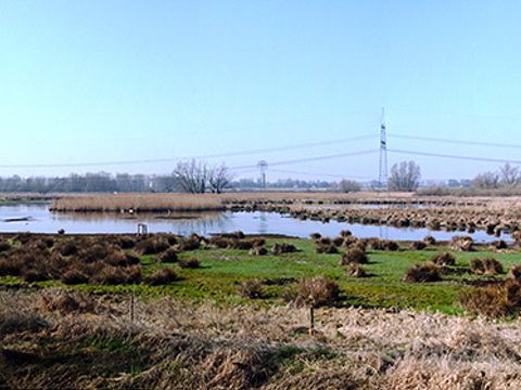 Wiedervernässung der Lietzengrabenniederung