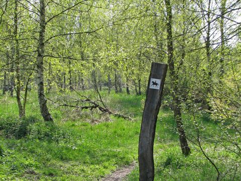 Reitweg in Hobrechtsfelde