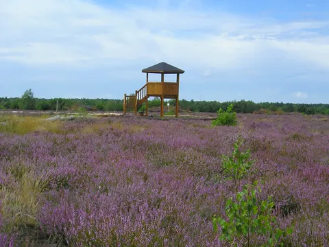 Aussichtsturm in der Schönower Heide