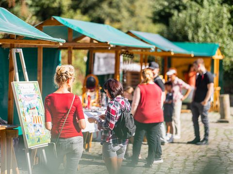 Deutsche Waldtage 2025: Aktionstag an der Revierförsterei Gatow