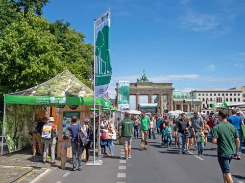 Umweltfestival 2025