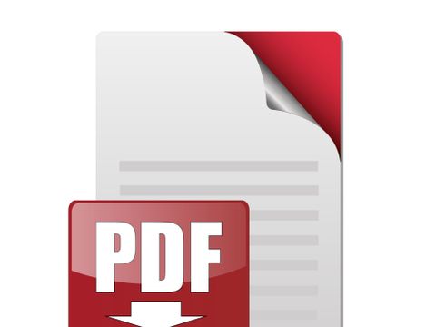 PDF Download-Button