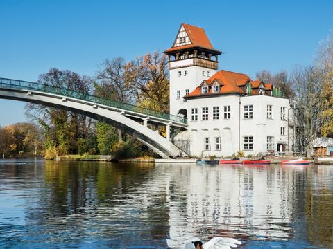 Ein Schwan und die Brücke zur Insel der Jugend in Treptower Park