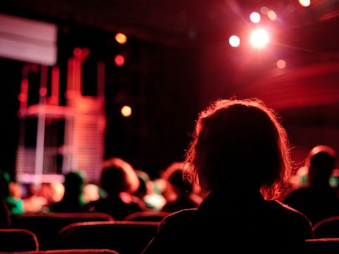 Publikum im Theater