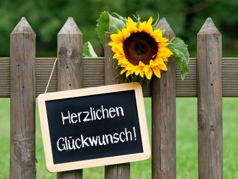 Am Gartenzaum hängt ein Schild mit der Aufschrift" Herzlichen Glückwunsch" und eine Sonnenblume