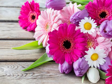 Geburtstagsblumen