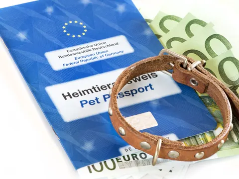 Tierausweis und Halsband