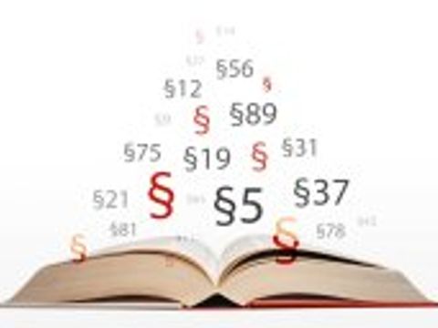 Ein aufgeklapptes Gesetzesbuch. Darüber schweben Paragraphen.